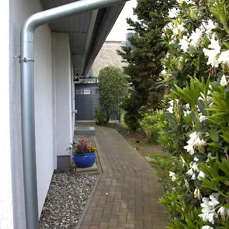 Seestern *